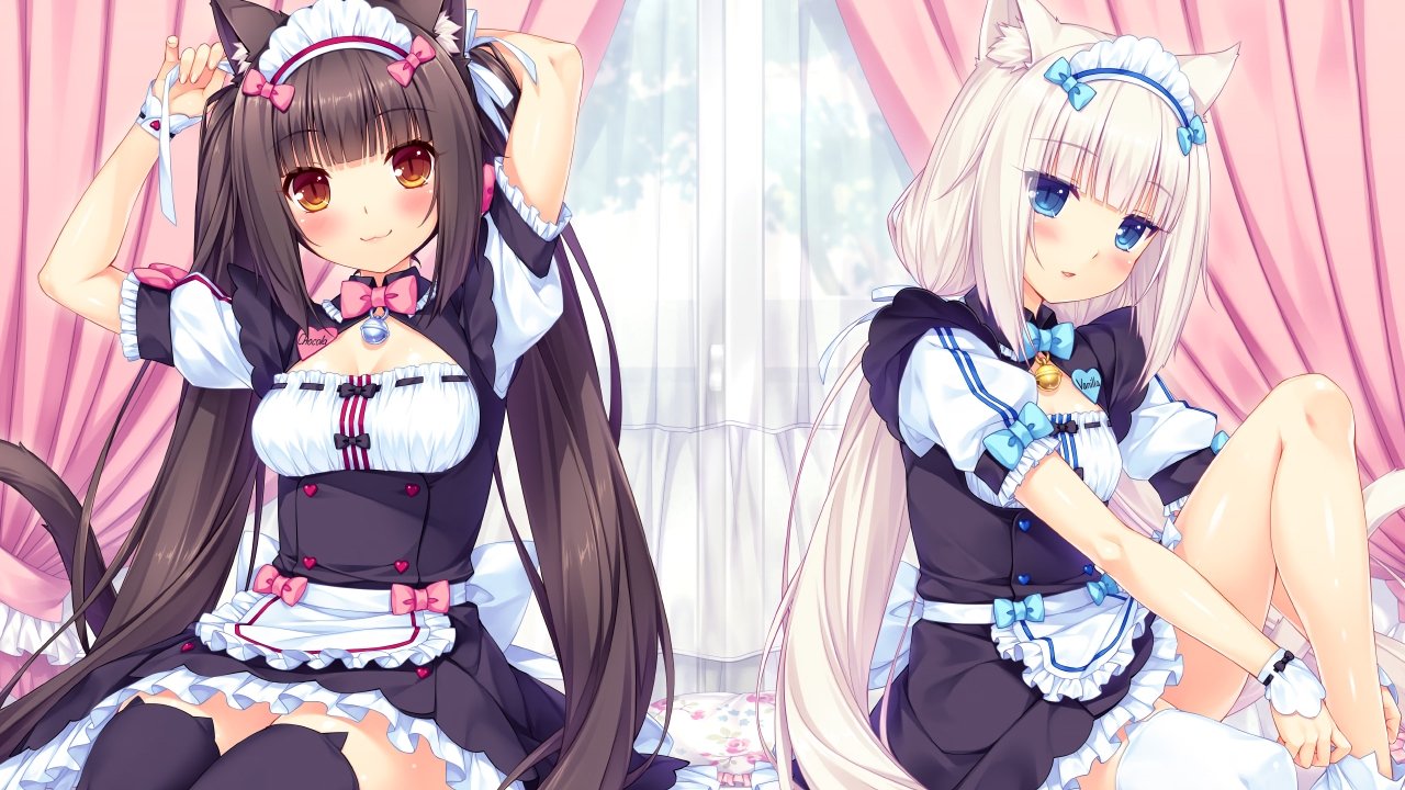 Nekopara รีวิวหนัง